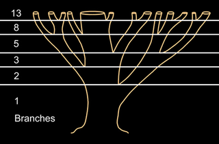 Illustration for article titled 15 Uncanny Examples of the Golden Ratio in Nature
